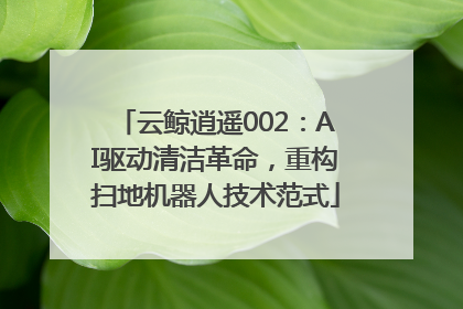 云鲸逍遥002：AI驱动清洁革命，重构扫地机器人技术范式