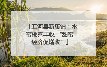 五河县新集镇：水蜜桃喜丰收 “甜蜜经济促增收”