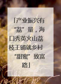 产业振兴有“荔”量，海口秀英火山荔枝王铺就乡村“甜蜜”致富路
