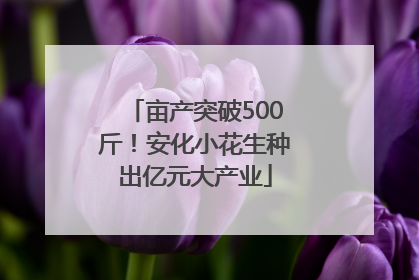 亩产突破500斤！安化小花生种出亿元大产业