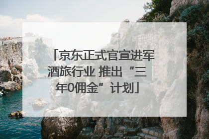 京东正式官宣进军酒旅行业 推出“三年0佣金”计划