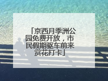 京西月季洲公园免费开放，市民假期驱车前来赏花打卡