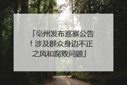 亳州发布巡察公告！涉及群众身边不正之风和腐败问题
