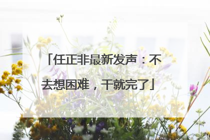任正非最新发声：不去想困难，干就完了