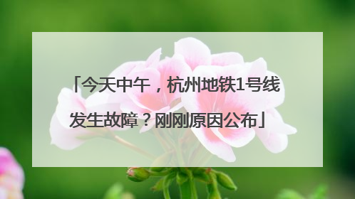 今天中午，杭州地铁1号线发生故障？刚刚原因公布