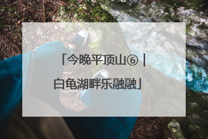 今晚平顶山⑥｜白龟湖畔乐融融