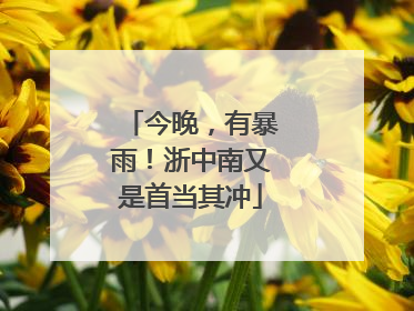今晚，有暴雨！浙中南又是首当其冲