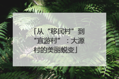 从“移民村”到“宜游村”：大源村的美丽蜕变