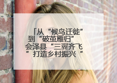 从“候鸟迁徙”到“破茧雁归” 会泽县“三翼齐飞”打造乡村振兴“创业雁阵”