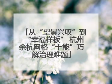 从“望景兴叹”到“幸福样板” 杭州余杭网格“十能”巧解治理难题