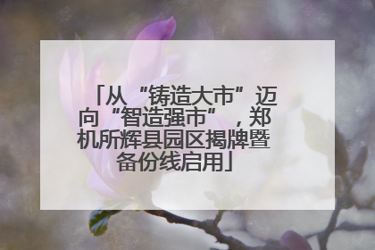 从“铸造大市”迈向“智造强市”，郑机所辉县园区揭牌暨备份线启用