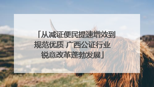 从减证便民提速增效到规范优质 广西公证行业锐意改革蓬勃发展