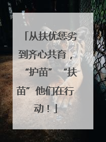 从扶优惩劣到齐心共育，“护苗”“扶苗”他们在行动！