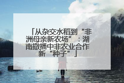 从杂交水稻到“非洲母亲新农场”：湖南撒播中非农业合作新“种子”