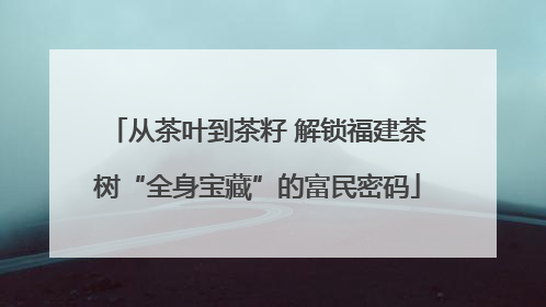 从茶叶到茶籽 解锁福建茶树“全身宝藏”的富民密码