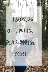 从0到260+，四川朱鹮九年种群复兴记