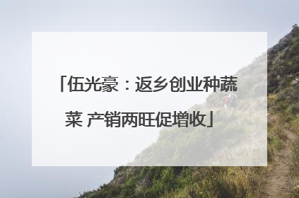 伍光豪：返乡创业种蔬菜 产销两旺促增收