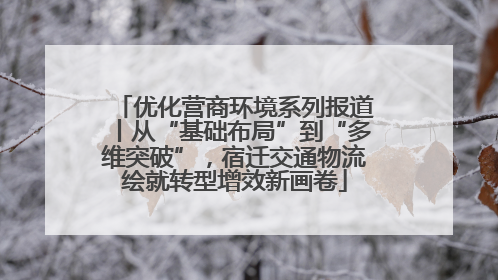 优化营商环境系列报道丨从“基础布局”到“多维突破”，宿迁交通物流绘就转型增效新画卷