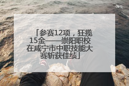 参赛12项，狂揽15金——崇阳职校在咸宁市中职技能大赛斩获佳绩