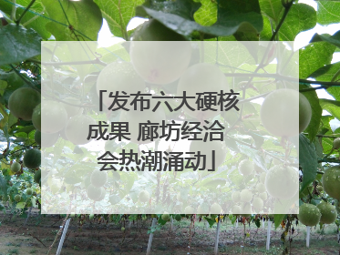 发布六大硬核成果 廊坊经洽会热潮涌动