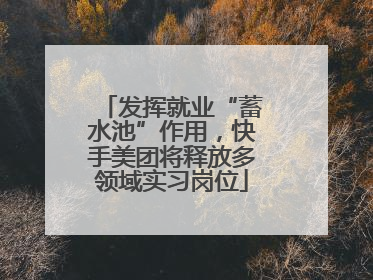 发挥就业“蓄水池”作用，快手美团将释放多领域实习岗位