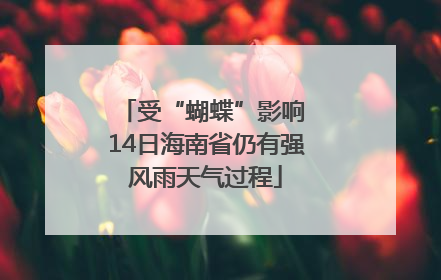 受“蝴蝶”影响 14日海南省仍有强风雨天气过程