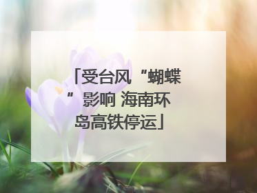 受台风“蝴蝶”影响 海南环岛高铁停运