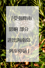 受强降雨影响 部分进出海南岛列车停运