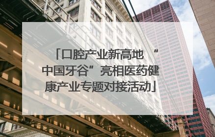 口腔产业新高地 “中国牙谷”亮相医药健康产业专题对接活动