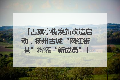 古旗亭街焕新改造启动，扬州古城“网红街巷”将添“新成员”