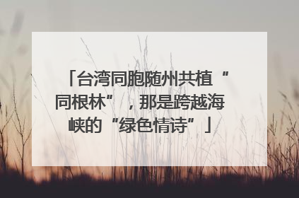 台湾同胞随州共植“同根林”，那是跨越海峡的“绿色情诗”