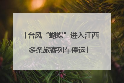 台风“蝴蝶”进入江西 多条旅客列车停运