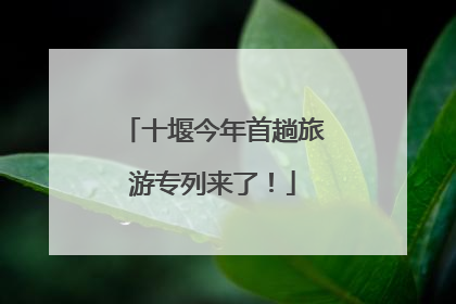 十堰今年首趟旅游专列来了！