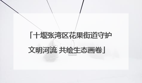 十堰张湾区花果街道守护文明河流 共绘生态画卷