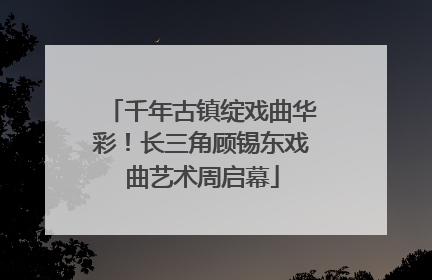 千年古镇绽戏曲华彩！长三角顾锡东戏曲艺术周启幕