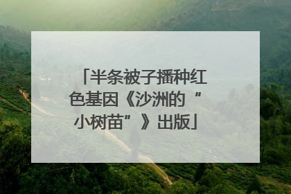 半条被子播种红色基因《沙洲的“小树苗”》出版
