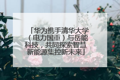 华为携手清华大学（电力国重）与岳能科技，共同探索智慧新能源集控新未来