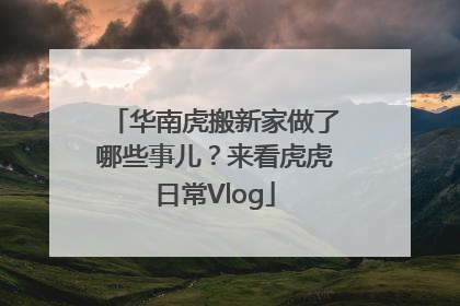 华南虎搬新家做了哪些事儿？来看虎虎日常Vlog