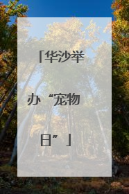 华沙举办“宠物日”