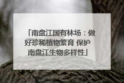 南盘江国有林场：做好珍稀植物繁育 保护南盘江生物多样性