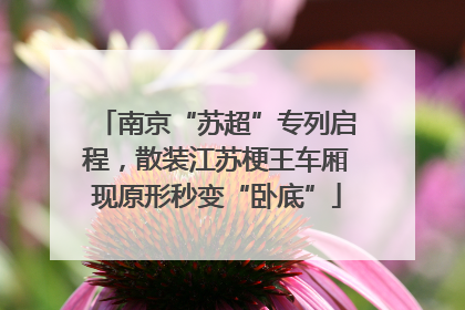 南京“苏超”专列启程，散装江苏梗王车厢现原形秒变“卧底”