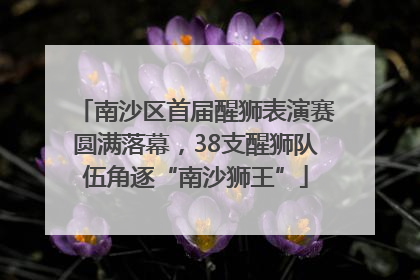 南沙区首届醒狮表演赛圆满落幕，38支醒狮队伍角逐“南沙狮王”