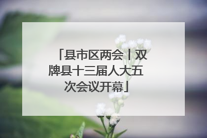 县市区两会丨双牌县十三届人大五次会议开幕