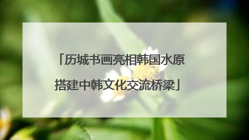 历城书画亮相韩国水原 搭建中韩文化交流桥梁