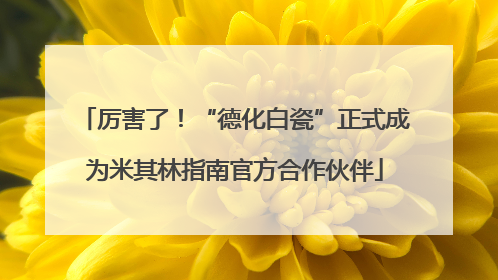 厉害了！“德化白瓷”正式成为米其林指南官方合作伙伴