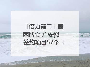 借力第二十届西博会 广安拟签约项目57个｜数读西投