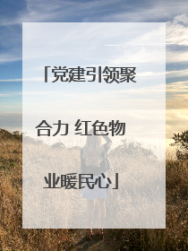党建引领聚合力 红色物业暖民心