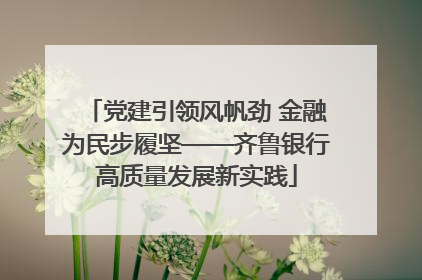 党建引领风帆劲 金融为民步履坚——齐鲁银行高质量发展新实践