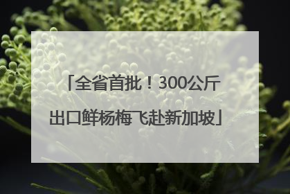 全省首批！300公斤出口鲜杨梅飞赴新加坡