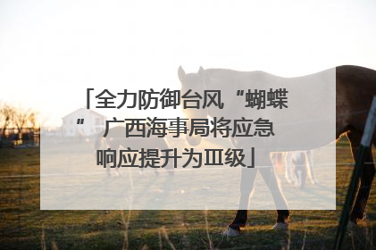 全力防御台风“蝴蝶” 广西海事局将应急响应提升为Ⅲ级
